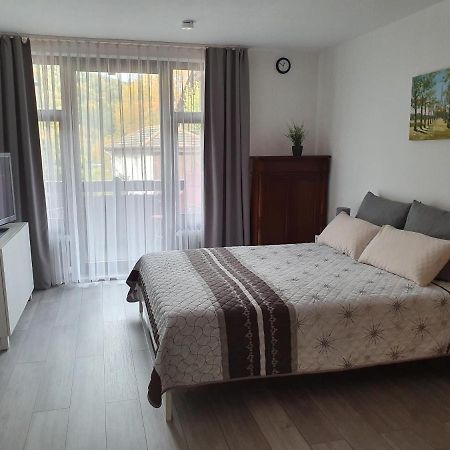 Gemuetliche Ferienwohnung Am Kurpark In Bad Herrenalb Esterno foto